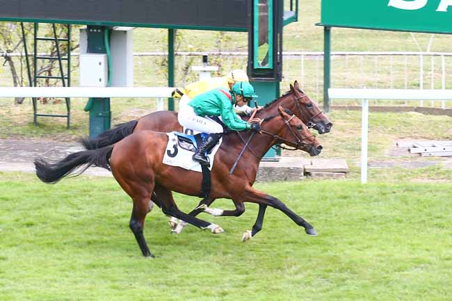 Photo d'arrivée de la course pmu PRIX VENTRE SAINT-GRIS à SAINT CLOUD le Dimanche 3 juillet 2022