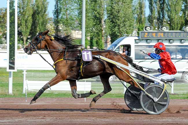 Photo d'arrivée de la course pmu PRIX JEAN-MICHEL BAZIRE à VICHY le Mardi 5 juillet 2022