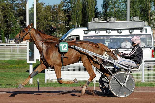 Photo d'arrivée de la course pmu PRIX JEROME SALAMANI à VICHY le Mardi 5 juillet 2022