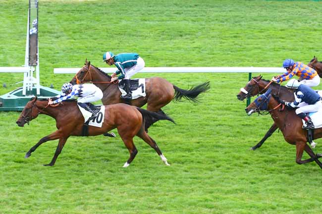 Photo d'arrivée de la course pmu PRIX DU JARDIN DE L'AVRE à LONGCHAMP le Jeudi 7 juillet 2022