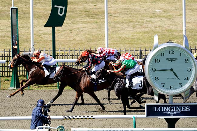 Photo d'arrivée de la course pmu PRIX DU CARREFOUR DES QUATRES FRERES à CHANTILLY le Mardi 12 juillet 2022