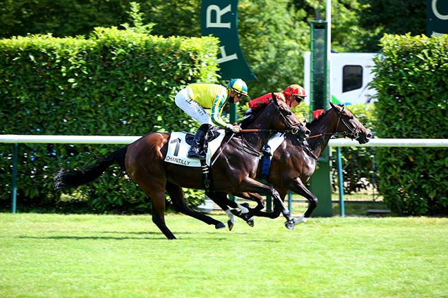 Photo d'arrivée de la course pmu PRIX SANS SOUCI II à CHANTILLY le Mardi 12 juillet 2022