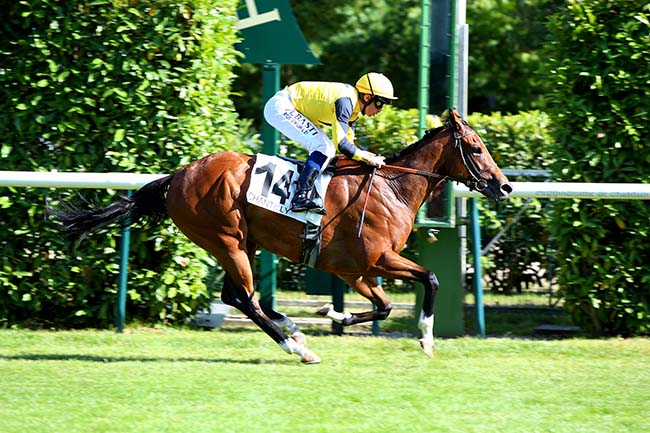 Photo d'arrivée de la course pmu PRIX LE ROI SOLEIL à CHANTILLY le Mardi 12 juillet 2022