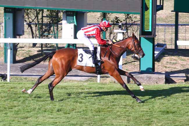 Photo d'arrivée de la course pmu PRIX AMBER RAMA à SAINT CLOUD le Samedi 16 juillet 2022