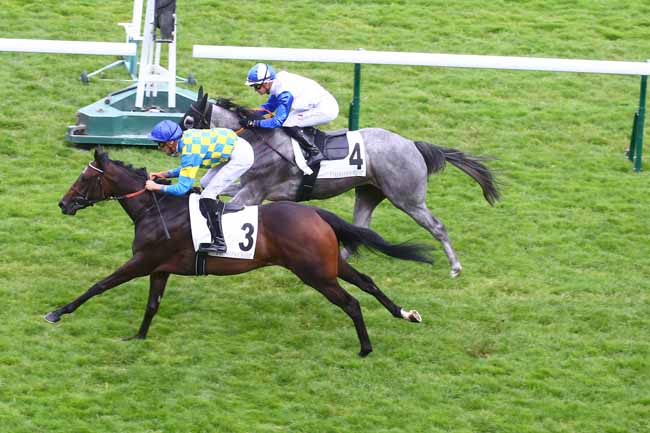Photo d'arrivée de la course pmu PRIX DU PONT AUX BICHES à LONGCHAMP le Jeudi 21 juillet 2022
