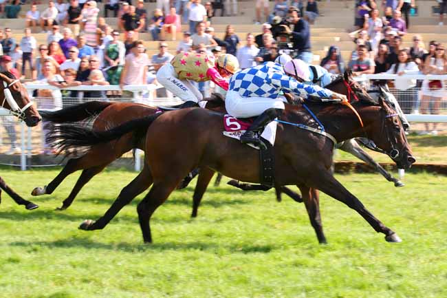 Photo d'arrivée de la course pmu PRIX DU JARDIN DES SIMPLES à CLAIREFONTAINE le Samedi 23 juillet 2022