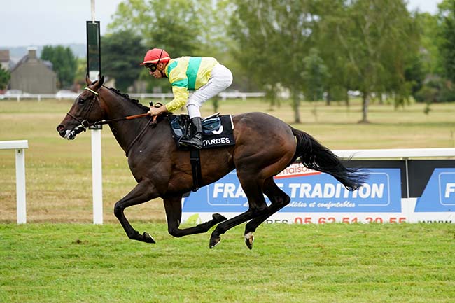 Photo d'arrivée de la course pmu GRAND PRIX DE LA TESTE-DE-BUCH à TARBES le Lundi 25 juillet 2022