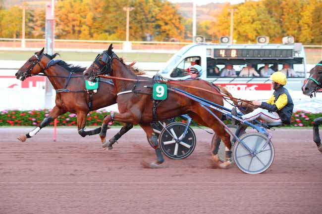 Photo d'arrivée de la course pmu PRIX DES CALLUNES à CABOURG le Vendredi 29 juillet 2022