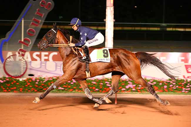 Photo d'arrivée de la course pmu PRIX DES LILAS à CABOURG le Vendredi 5 août 2022