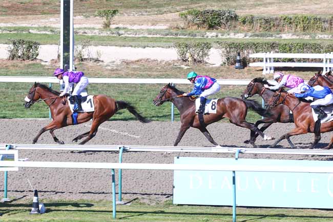 Photo d'arrivée de la course pmu PRIX DE LIVAROT à DEAUVILLE le Samedi 6 août 2022