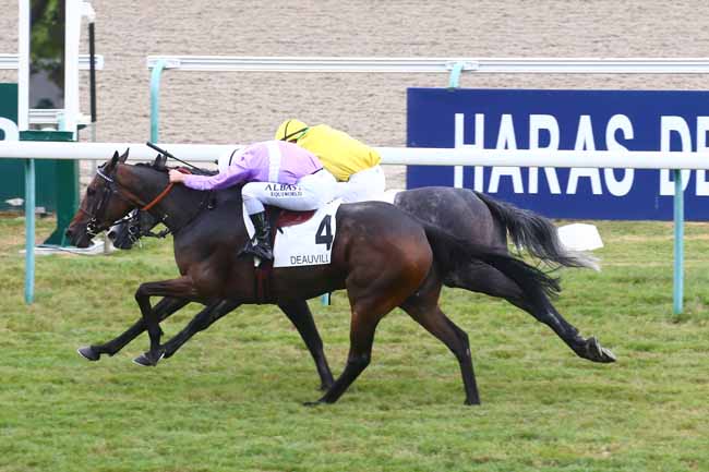 Photo d'arrivée de la course pmu PRIX D'EQUEMAUVILLE à DEAUVILLE le Dimanche 14 août 2022