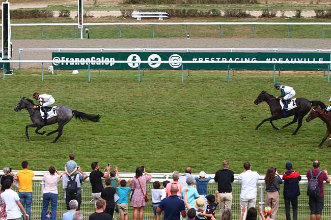 Photo d'arrivée de la course pmu PRIX DE LA POTINIERE - CATEGORIE DEVOUEMENT POUR LES COURSES à DEAUVILLE le Mardi 16 août 2022