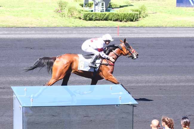 Photo d'arrivée de la course pmu PRIX LEGOUX-LONGPRE à PARIS-VINCENNES le Samedi 20 août 2022
