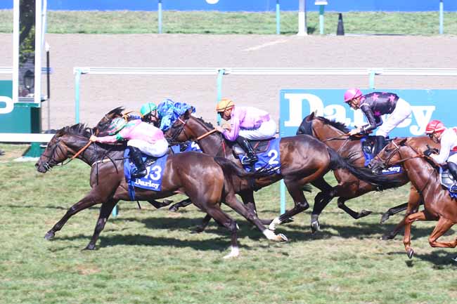Photo d'arrivée de la course pmu DARLEY PRIX DES GRENIERS A SEL à DEAUVILLE le Dimanche 21 août 2022