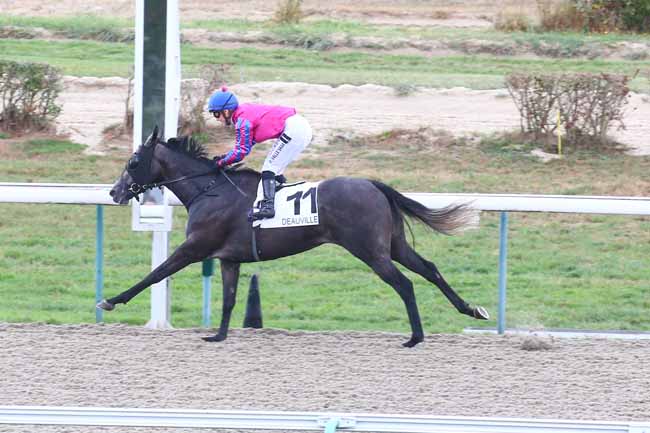 Photo d'arrivée de la course pmu PRIX DE FECAMP à DEAUVILLE le Mardi 23 août 2022