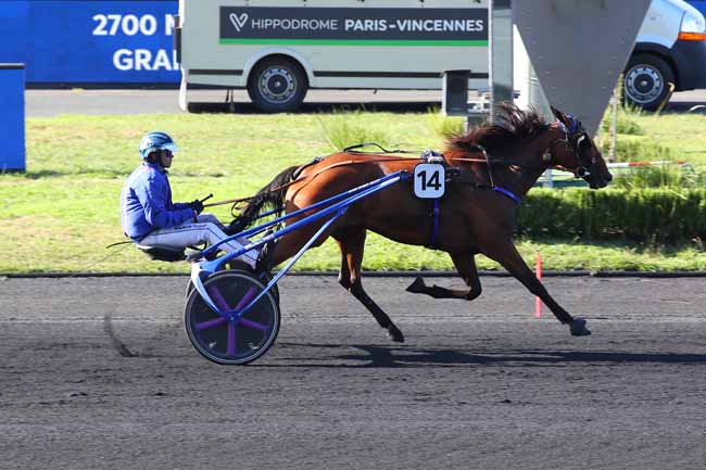 Photo d'arrivée de la course pmu PRIX D'AURILLAC à PARIS-VINCENNES le Mercredi 24 août 2022