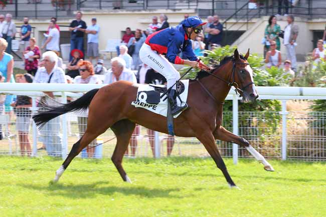 Photo d'arrivée de la course pmu PRIX TOYS MOTORS DIEPPE (PRIX DES ARCADES) à DIEPPE le Mardi 30 août 2022