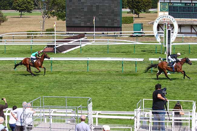 Photo d'arrivée de la course pmu PRIX DE DRESLINCOURT à COMPIEGNE le Mercredi 31 août 2022