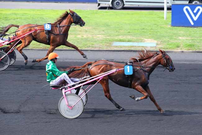 Photo d'arrivée de la course pmu PRIX DE VIMOUTIERS à PARIS-VINCENNES le Mercredi 31 août 2022