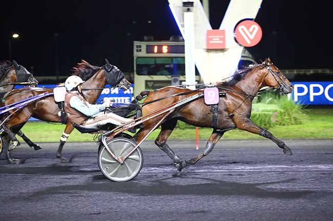 Photo d'arrivée de la course pmu PRIX DORADO à PARIS-VINCENNES le Vendredi 2 septembre 2022