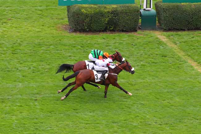 Photo d'arrivée de la course pmu PRIX GELAS à AUTEUIL le Vendredi 2 septembre 2022
