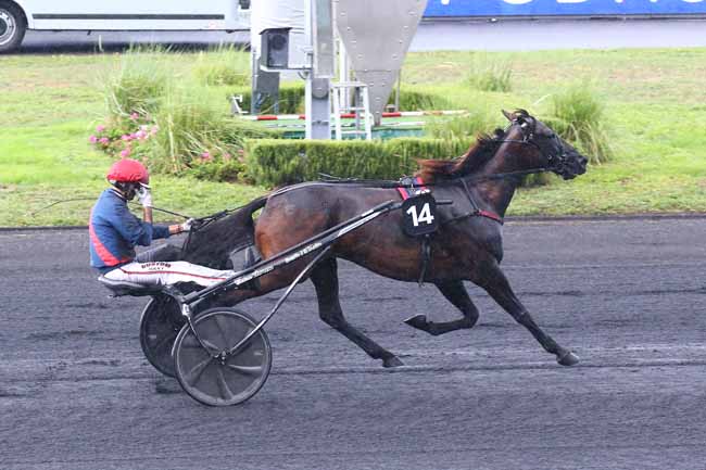 Photo d'arrivée de la course pmu PRIX DE NEUILLY à PARIS-VINCENNES le Samedi 3 septembre 2022