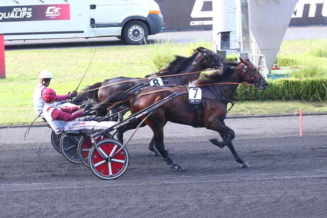 Photo d'arrivée de la course pmu CRITERIUM 4 ANS-Q4 - PRIX GASTON BRUNET à PARIS-VINCENNES le Samedi 3 septembre 2022