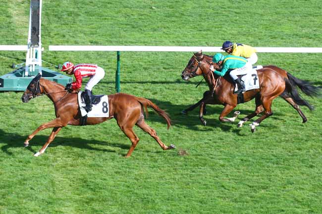 Photo d'arrivée de la course pmu PRIX DE LA COCHERE - FONDS EUROPEEN DE L'ELEVAGE à LONGCHAMP le Dimanche 4 septembre 2022