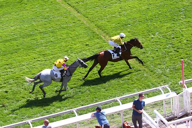 Photo d'arrivée de la course pmu PRIX JEAN BART à AUTEUIL le Mardi 6 septembre 2022