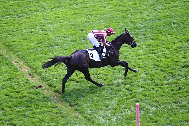 Photo d'arrivée de la course pmu PRIX MELANOS à AUTEUIL le Mardi 6 septembre 2022