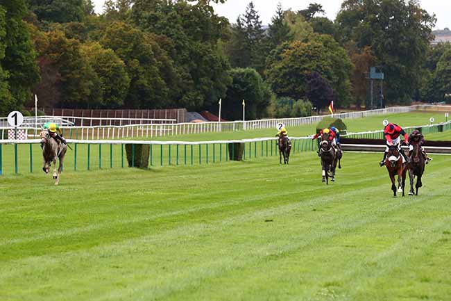 Photo d'arrivée de la course pmu PRIX SUMMIT à COMPIEGNE le Vendredi 9 septembre 2022