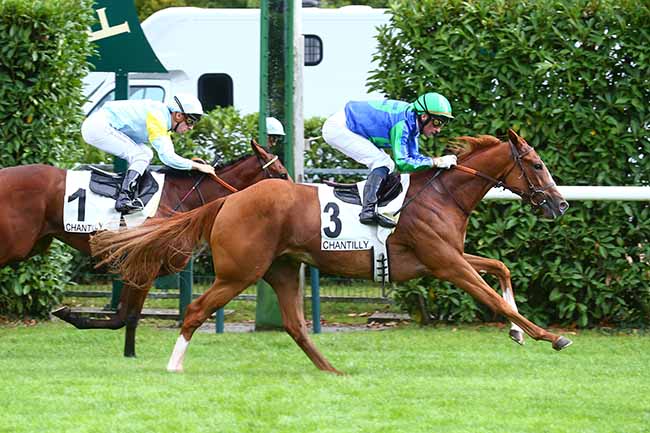Photo d'arrivée de la course pmu PRIX DE LA PISTE RODOSTO à CHANTILLY le Samedi 10 septembre 2022