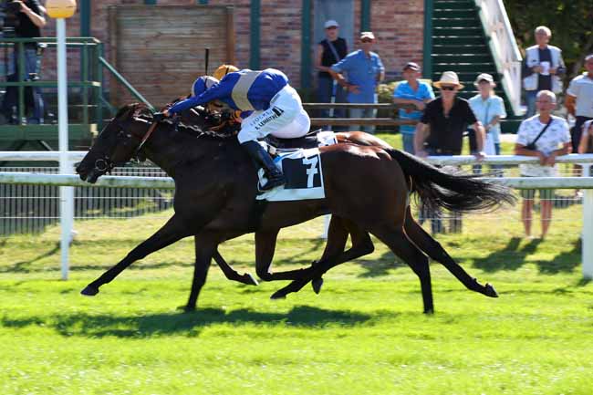 Photo d'arrivée de la course pmu PRIX DES MELEZES à FONTAINEBLEAU le Lundi 12 septembre 2022