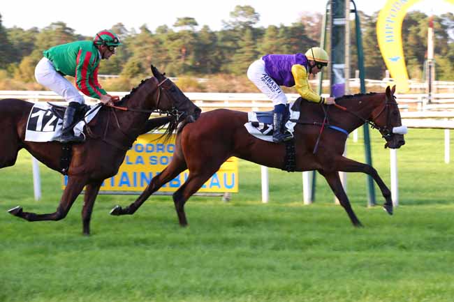 Photo d'arrivée de la course pmu PRIX DES CERFS à FONTAINEBLEAU le Lundi 12 septembre 2022