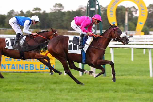 Photo d'arrivée de la course pmu PRIX DE LA TABLE DU GRAND MAITRE à FONTAINEBLEAU le Lundi 12 septembre 2022