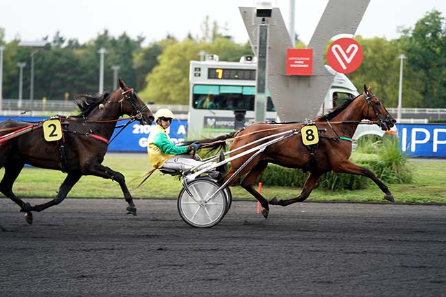 Photo d'arrivée de la course pmu PRIX DE NUEIL-SUR-LAYON à PARIS-VINCENNES le Mardi 13 septembre 2022