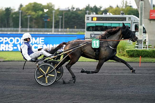 Photo d'arrivée de la course pmu PRIX ALKESTE à PARIS-VINCENNES le Mardi 13 septembre 2022