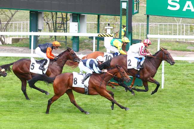 Photo d'arrivée de la course pmu PRIX PLEBEN à SAINT CLOUD le Vendredi 16 septembre 2022