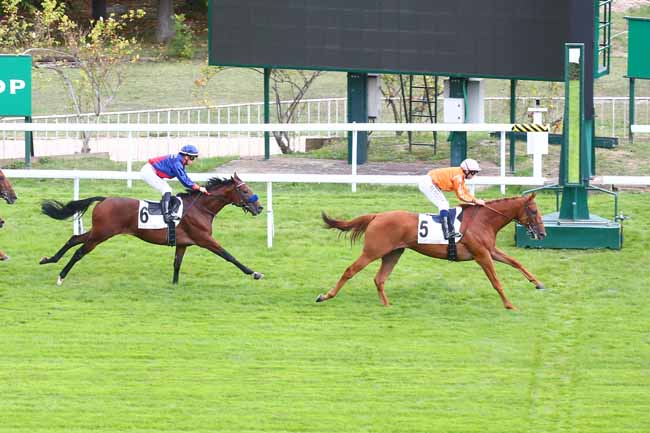Photo d'arrivée de la course pmu PRIX D'HARDRICOURT à SAINT CLOUD le Vendredi 16 septembre 2022