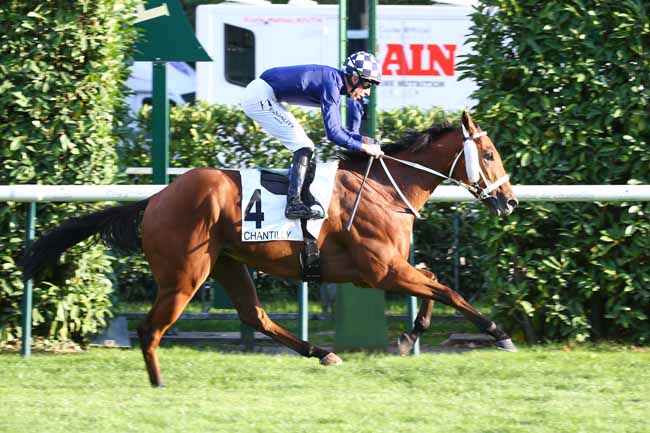 Photo d'arrivée de la course pmu PRIX DE LA GALERIE DE PEINTURE à CHANTILLY le Samedi 17 septembre 2022