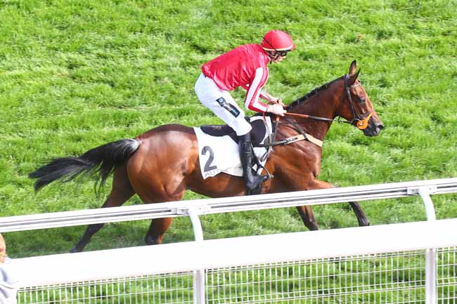 Photo d'arrivée de la course pmu PRIX D'ANGERS à AUTEUIL le Mardi 20 septembre 2022