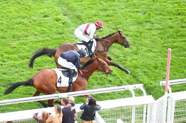 Photo d'arrivée de la course pmu PRIX ISOPANI à AUTEUIL le Samedi 24 septembre 2022