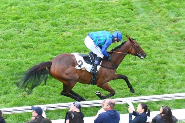 Photo d'arrivée de la course pmu PRIX DE COMPIEGNE à AUTEUIL le Samedi 24 septembre 2022