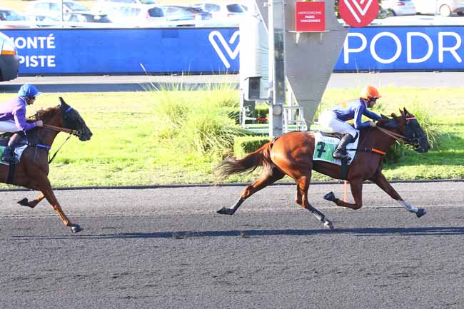 Photo d'arrivée de la course pmu PRIX DES ELITES à PARIS-VINCENNES le Dimanche 25 septembre 2022
