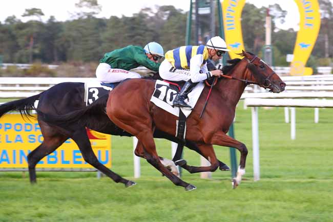 Photo d'arrivée de la course pmu PRIX DU BICENTENAIRE DE ROSA BONHEUR (PRIX DE LA FAISANDERIE) à FONTAINEBLEAU le Dimanche 25 septembre 2022