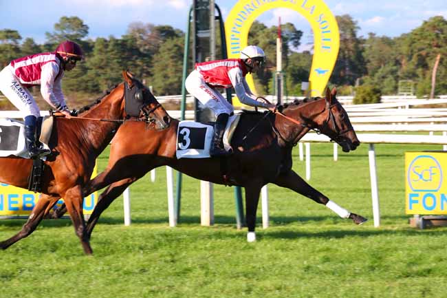 Photo d'arrivée de la course pmu PRIX DE LA PORTE NADON à FONTAINEBLEAU le Dimanche 25 septembre 2022