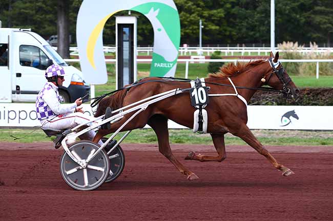 Photo d'arrivée de la course pmu GRAND PRIX DE TROT DE LYON à LYON PARILLY le Lundi 26 septembre 2022
