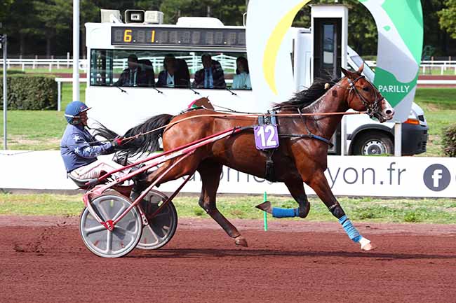 Photo d'arrivée de la course pmu PRIX NOVO STABLE - PRIX DE STRASBOURG à LYON PARILLY le Lundi 26 septembre 2022