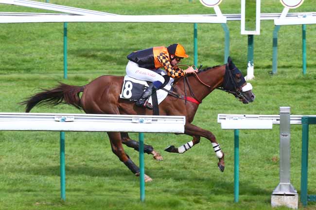 Photo d'arrivée de la course pmu PRIX BUCHEUR à COMPIEGNE le Mardi 27 septembre 2022