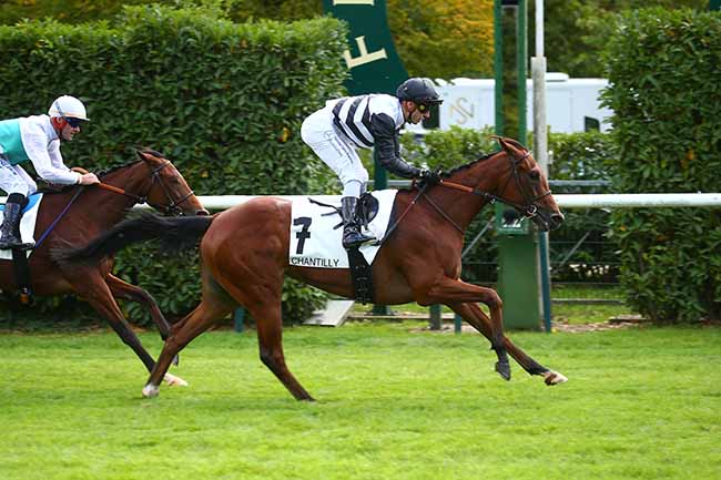 Photo d'arrivée de la course pmu PRIX DE VILLEMETRIE à CHANTILLY le Jeudi 29 septembre 2022